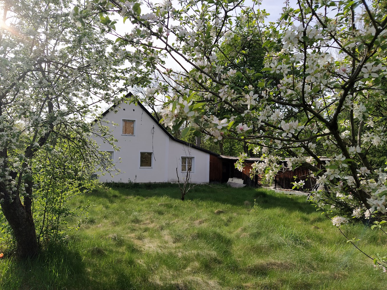 Haus mit Obstgarten (Daxetstraße Ecke Rehstraße)