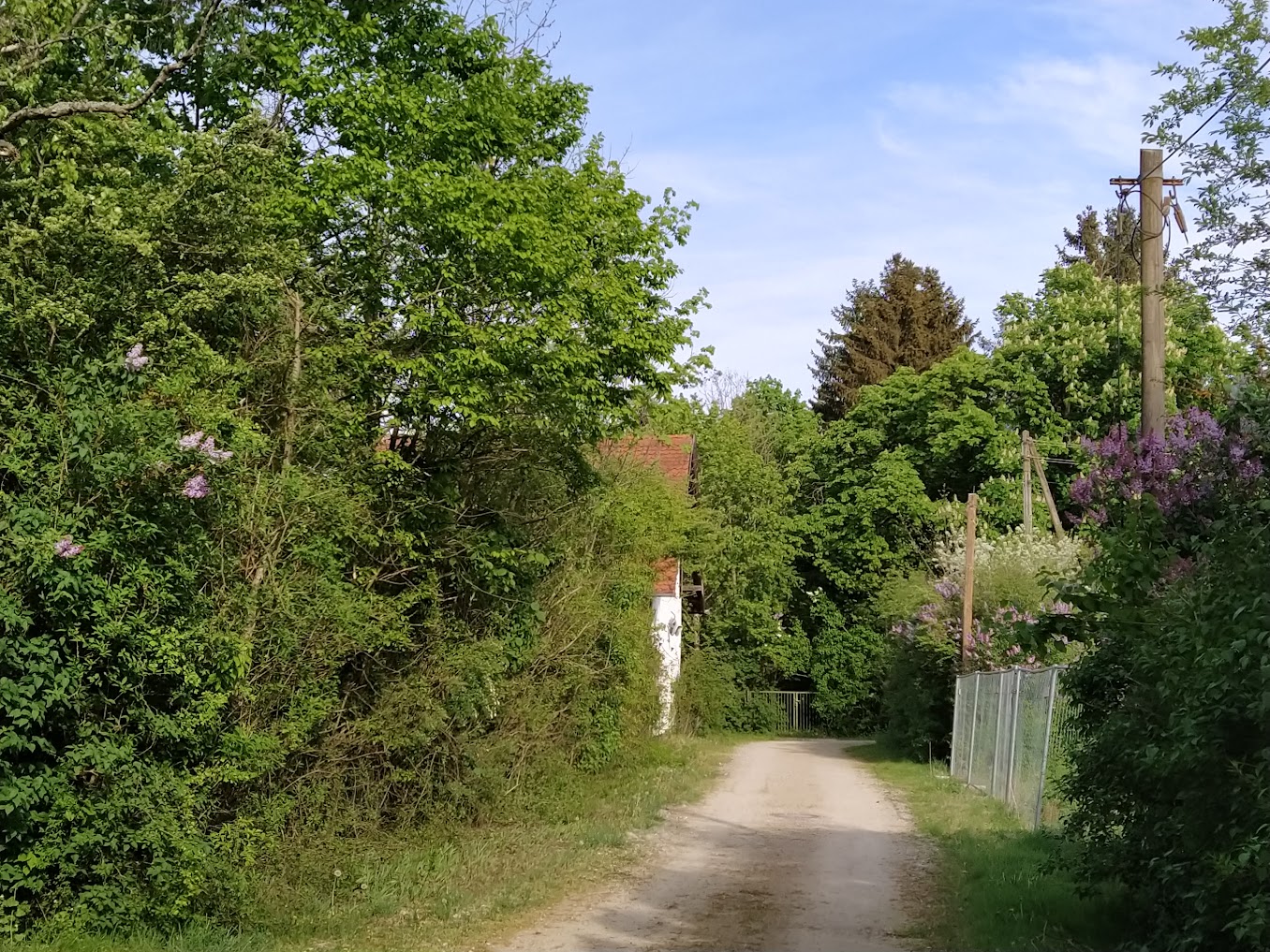 Hasenstraße Blick in Richtung Rehstraße