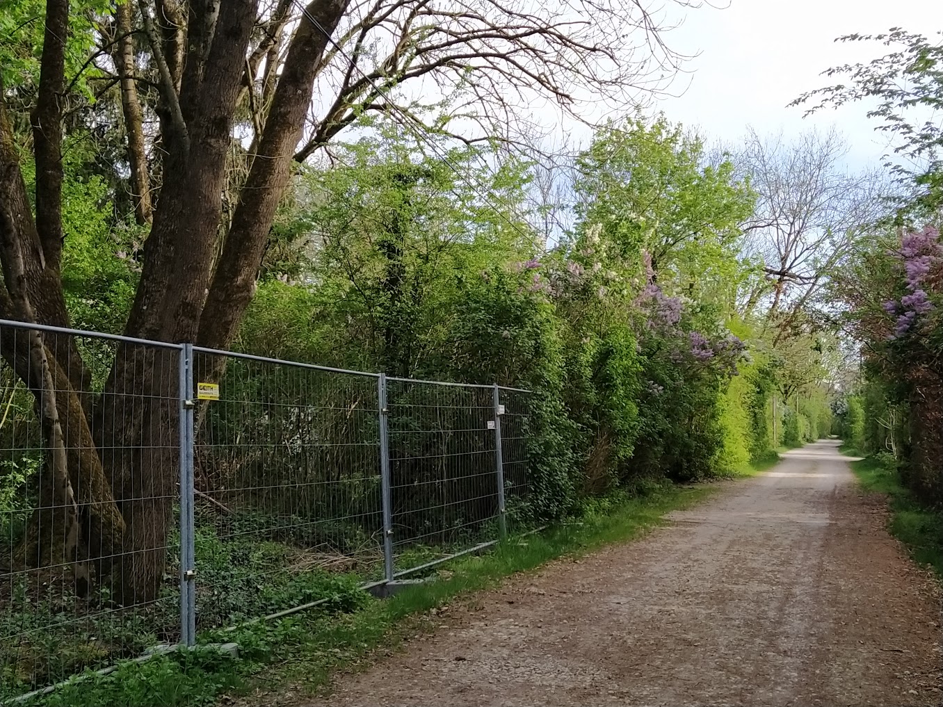Marderstraße mit Bauzaun, Blick nach Süden