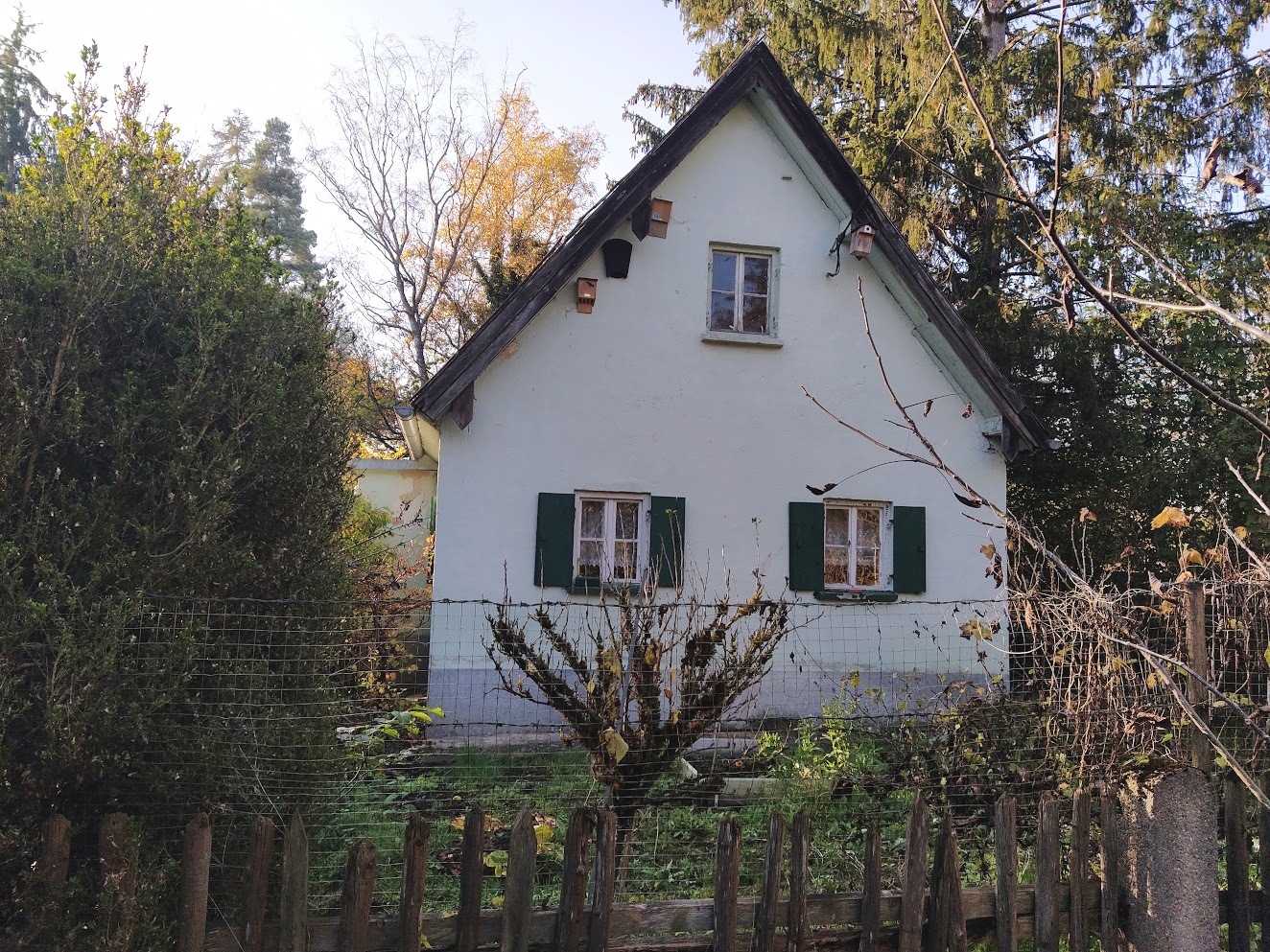 verlassenes Haus in der Marderstraße