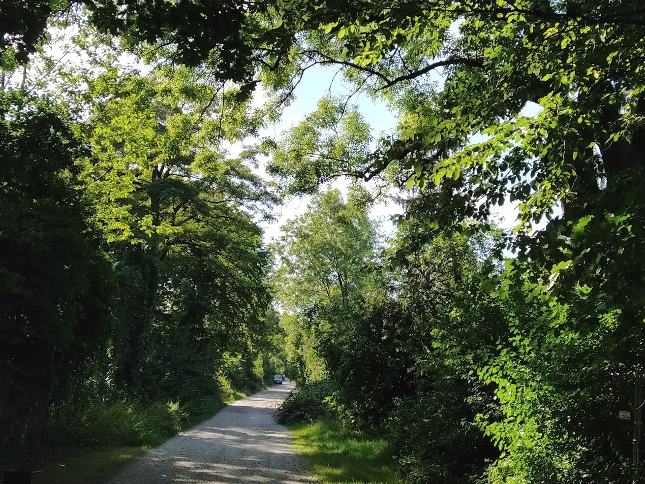 Daxetstraße im Eggarten, Blick nach Westen
