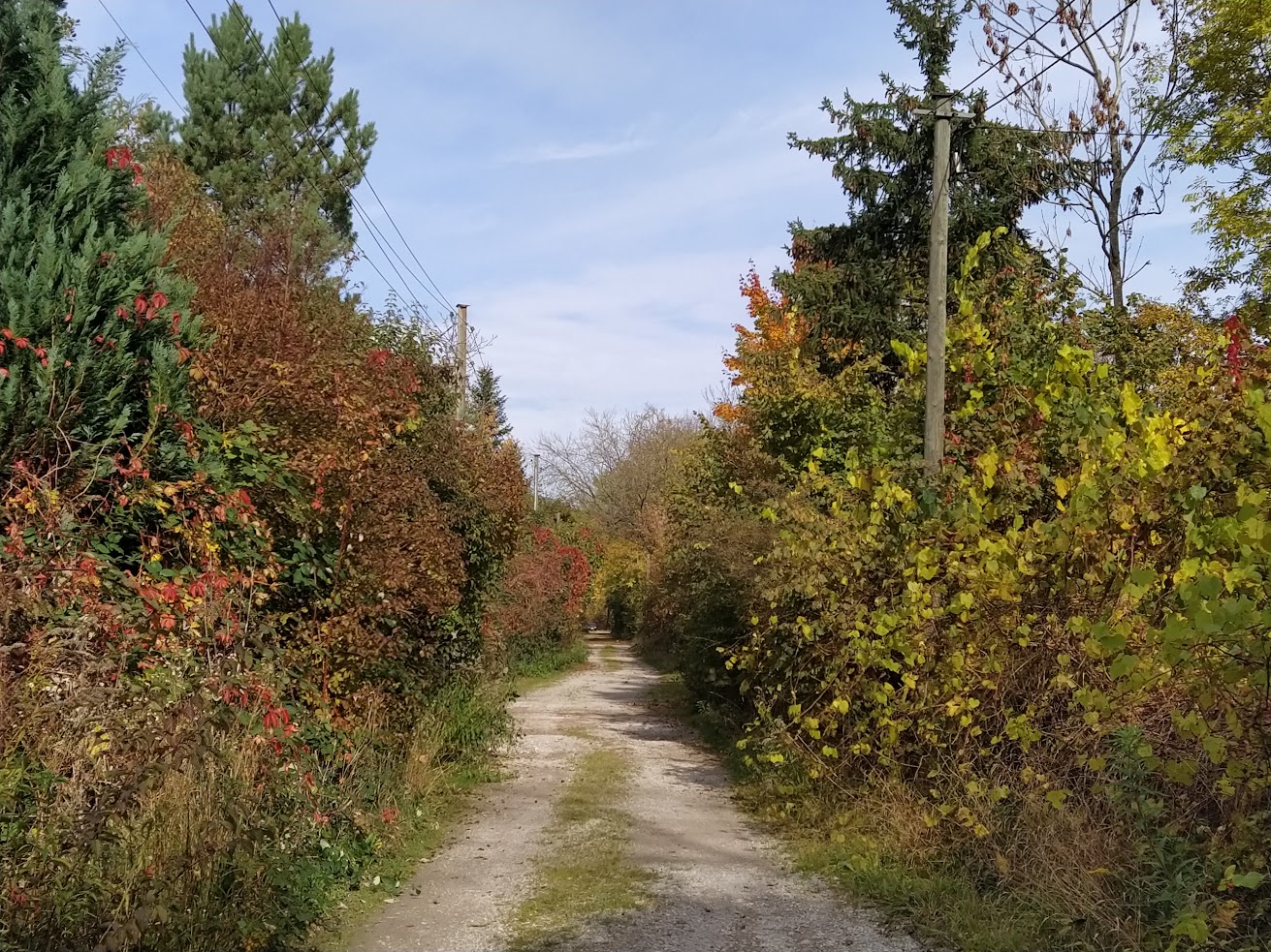 Marderstraße im Eggarten