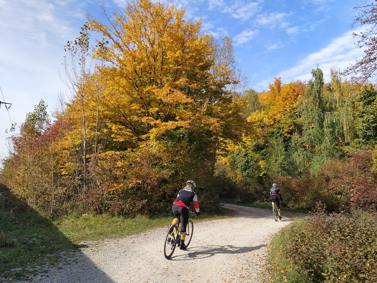Ausgleichsfläche westlich des Eggartens, mit Bäumen und Radfahrern
